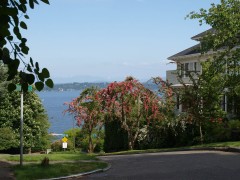 03-relocating-seattle-scenery   